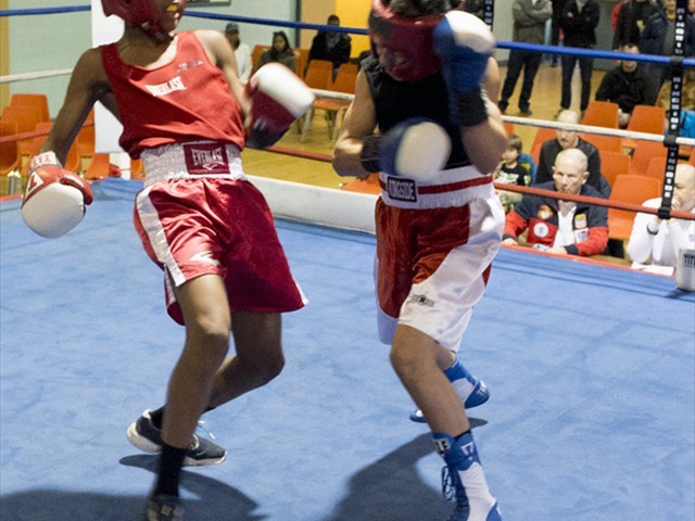 Buffalo Golden Gloves Boxing